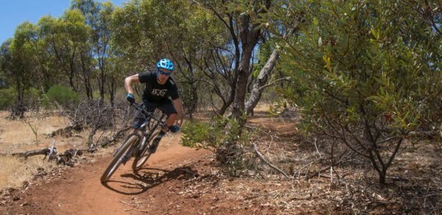 cobbler creek mtb